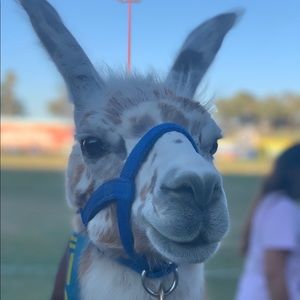 Meet your Posher, Kailee